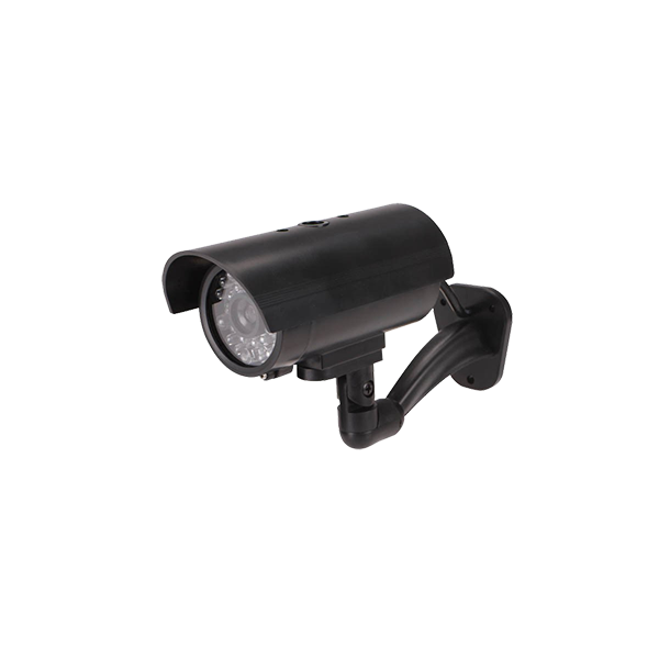 Donec ullamcorper turpis - Imagen 2